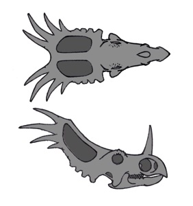 Styracosaurus skull diagrams